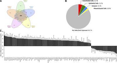 SARS-CoV-2 Infection-Induced Promoter Hypomethylation as an Epigenetic Modulator of Heat Shock Protein A1L (HSPA1L) Gene